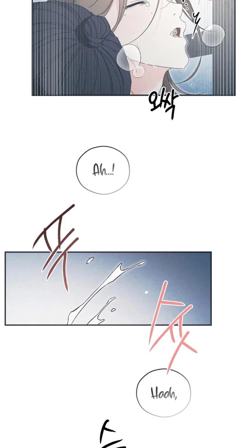 The Meaning of the White Pine Chapter 14 page 44 - 