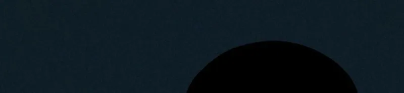 The Meaning of the White Pine Chapter 3 page 23 - 