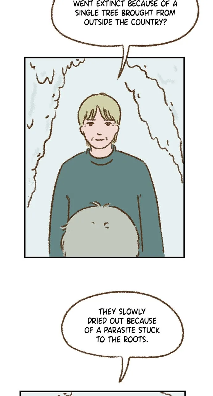 The Memory Shop Chapter 19 page 41 - 