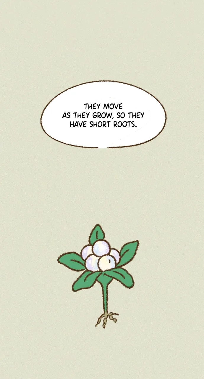 The Memory Shop Chapter 51 page 23 - 