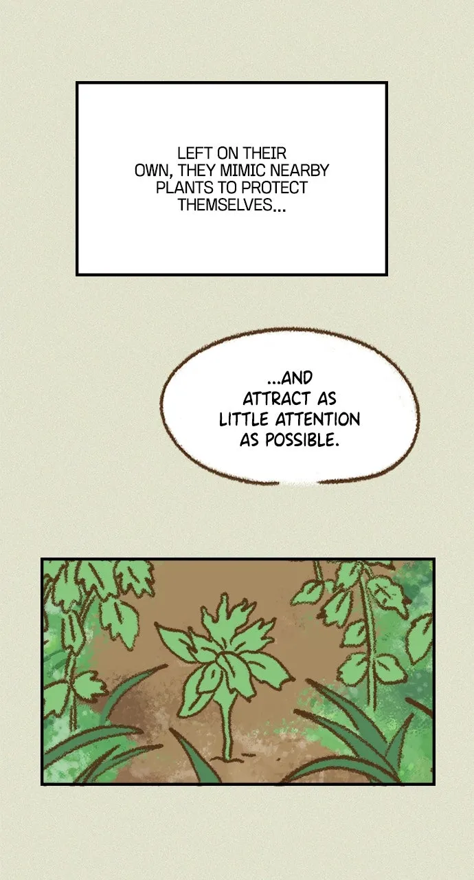 The Memory Shop Chapter 51 page 26 - 