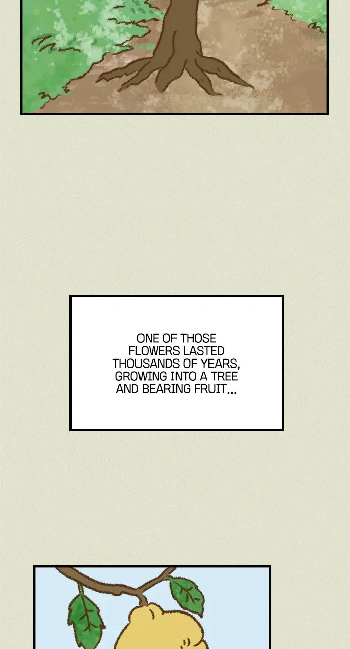 The Memory Shop Chapter 51 page 29 - 