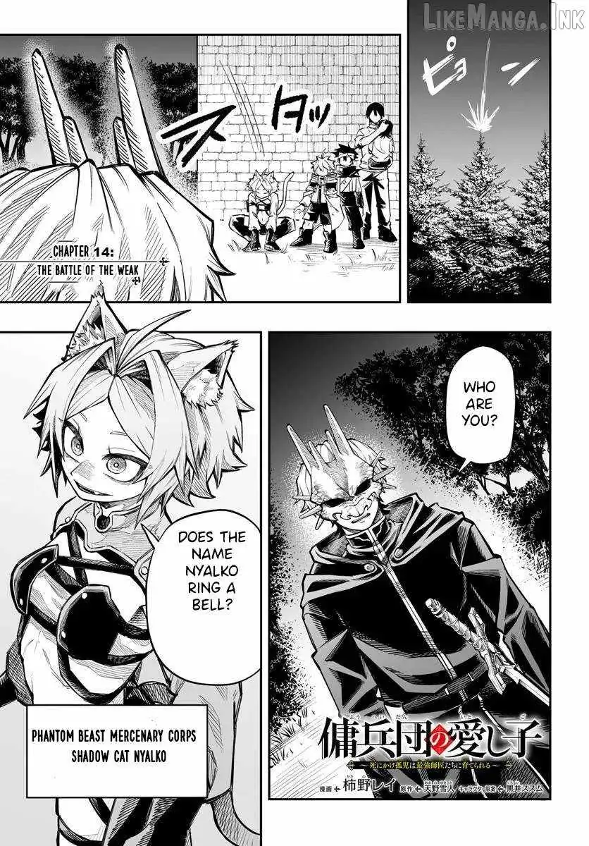 The Mercenary Group