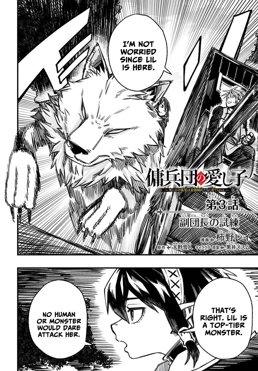 The Mercenary Group
