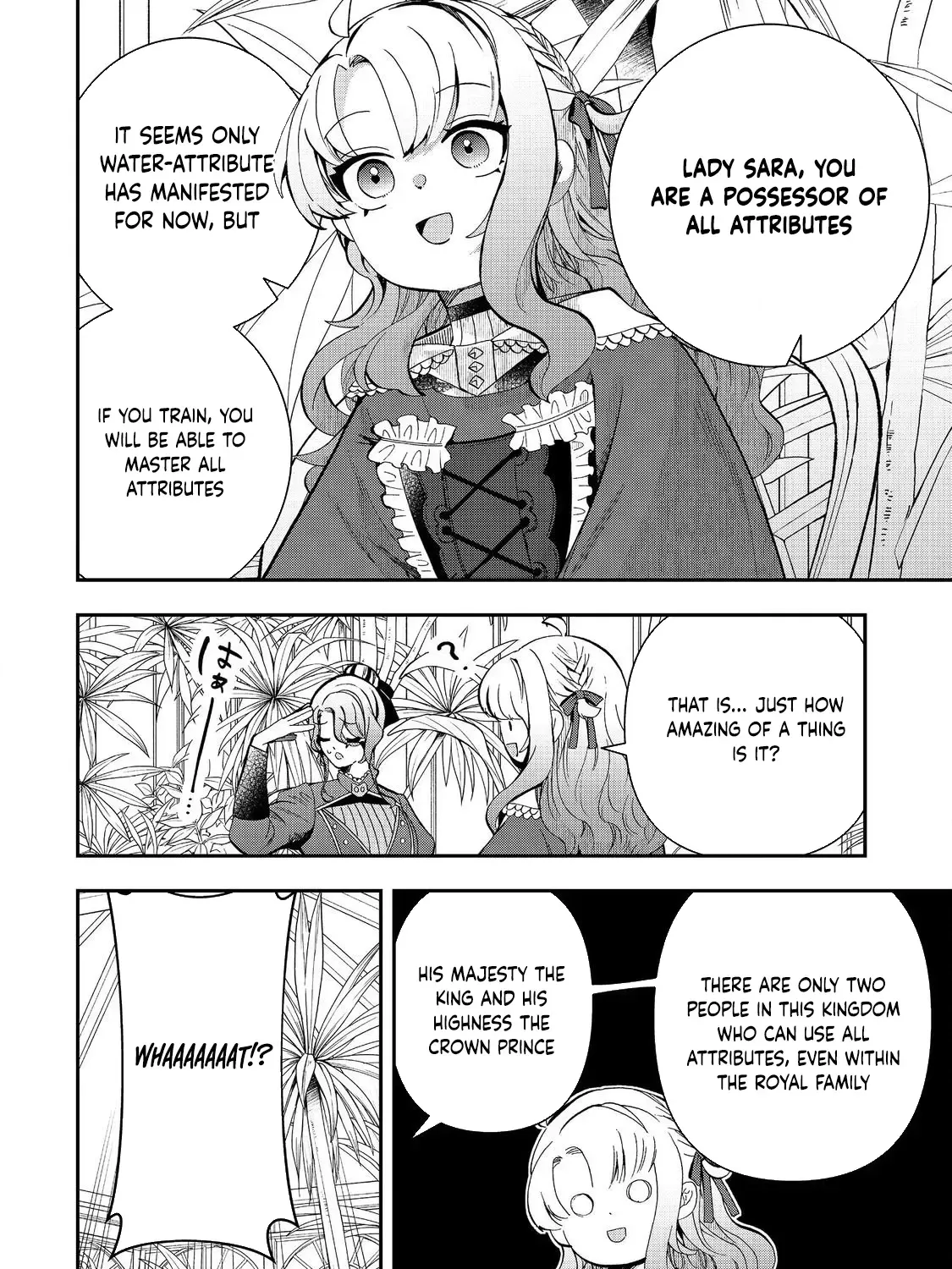 The Merchant
