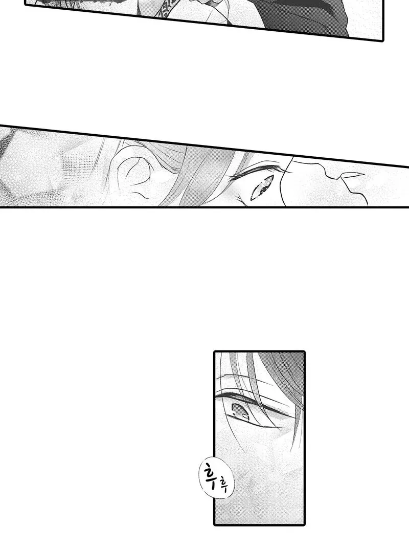 The Merciless Emperor’s Pet Consort Chapter 10 page 26 - 