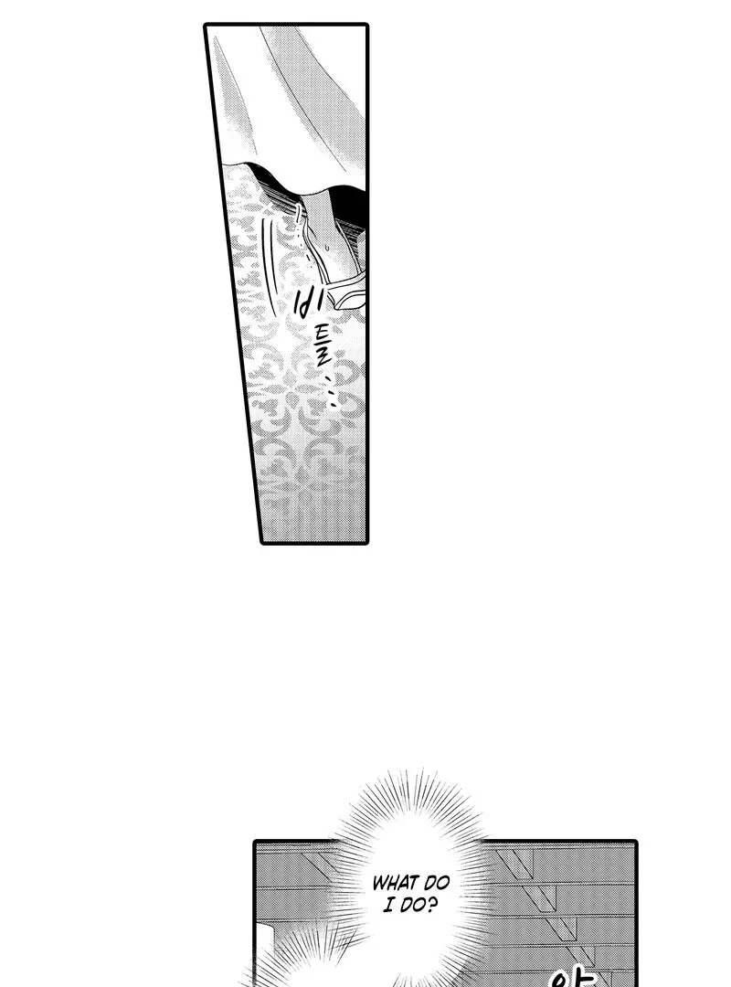 The Merciless Emperor’s Pet Consort Chapter 10 page 37 - 