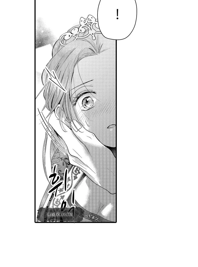 The Merciless Emperor’s Pet Consort Chapter 11 page 11 - 