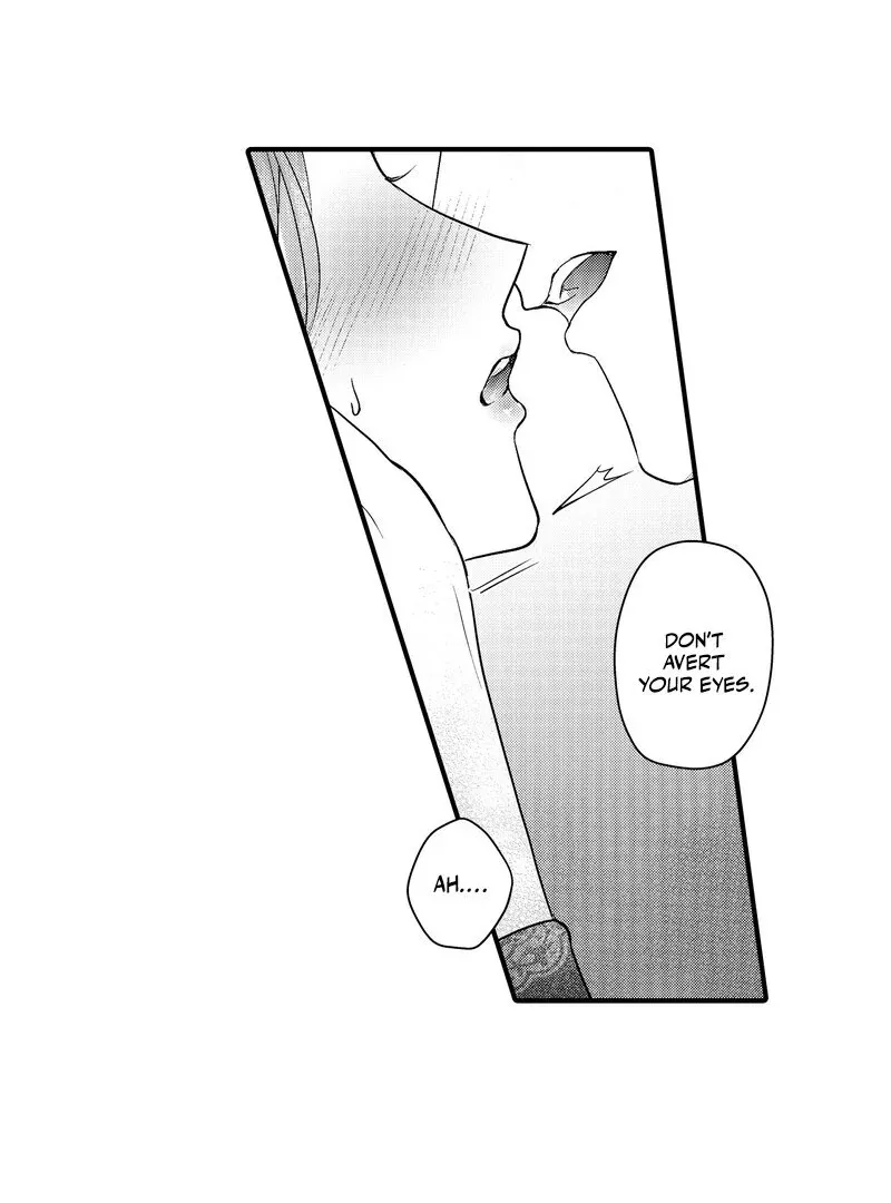 The Merciless Emperor’s Pet Consort Chapter 11 page 30 - 