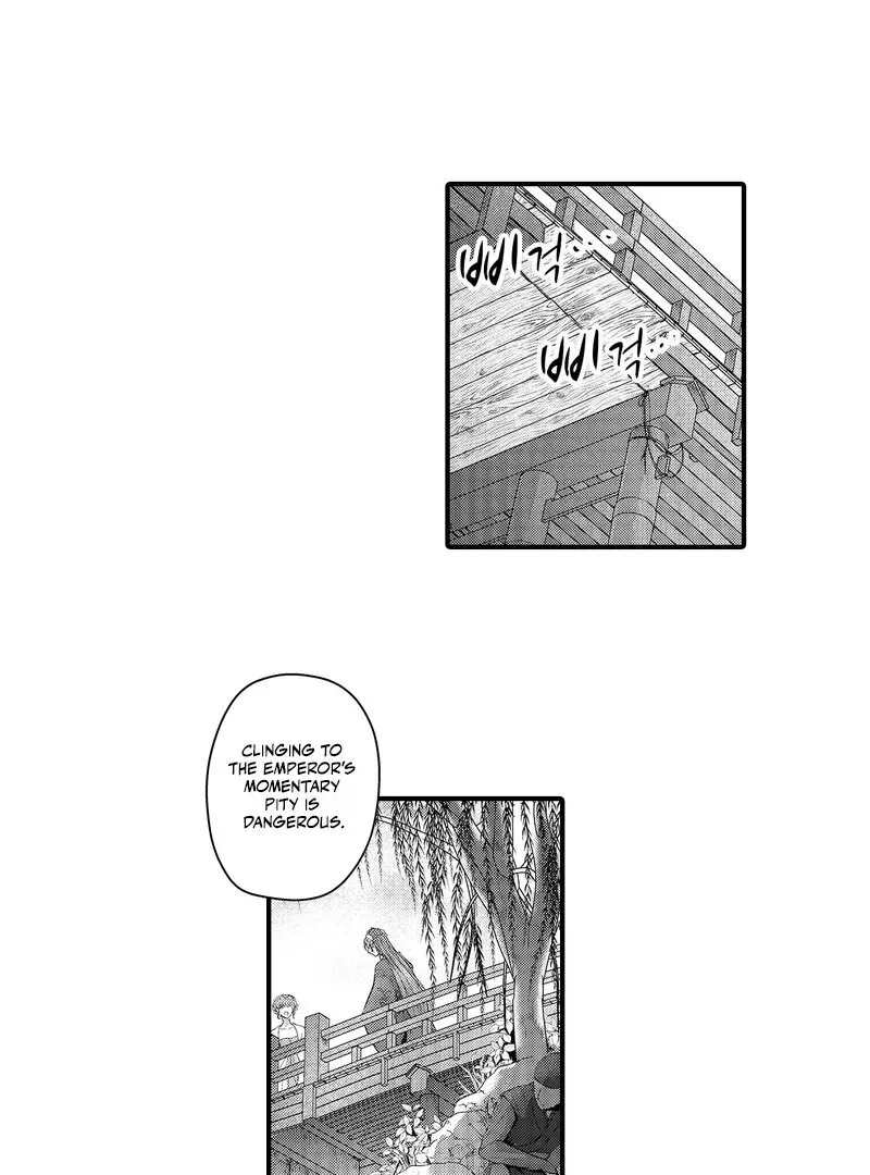 The Merciless Emperor’s Pet Consort Chapter 12 page 14 - 