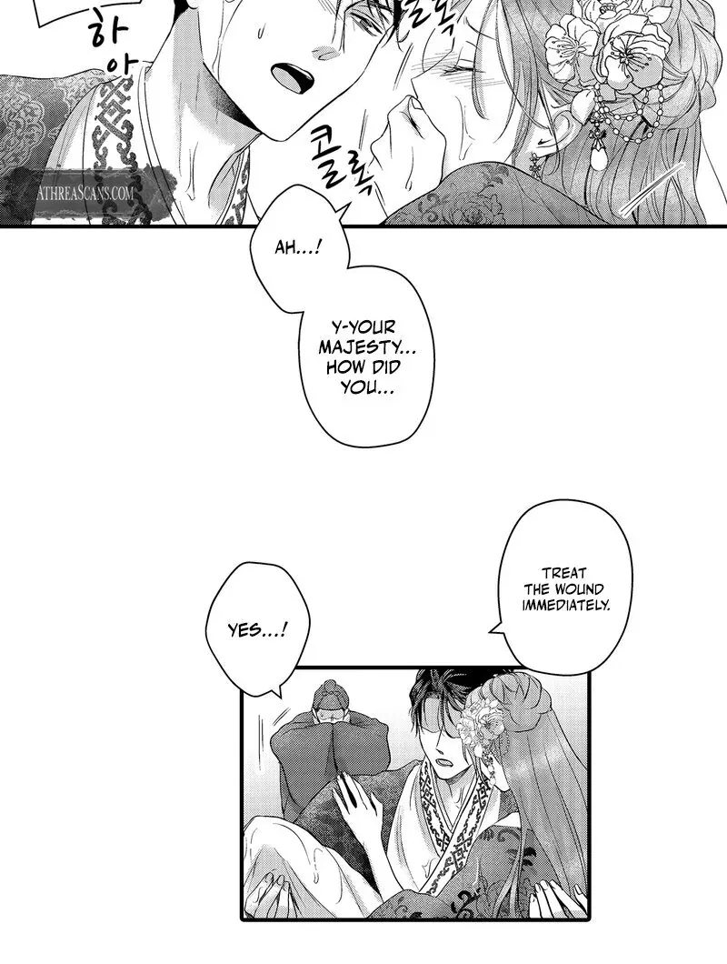 The Merciless Emperor’s Pet Consort Chapter 12 page 25 - 