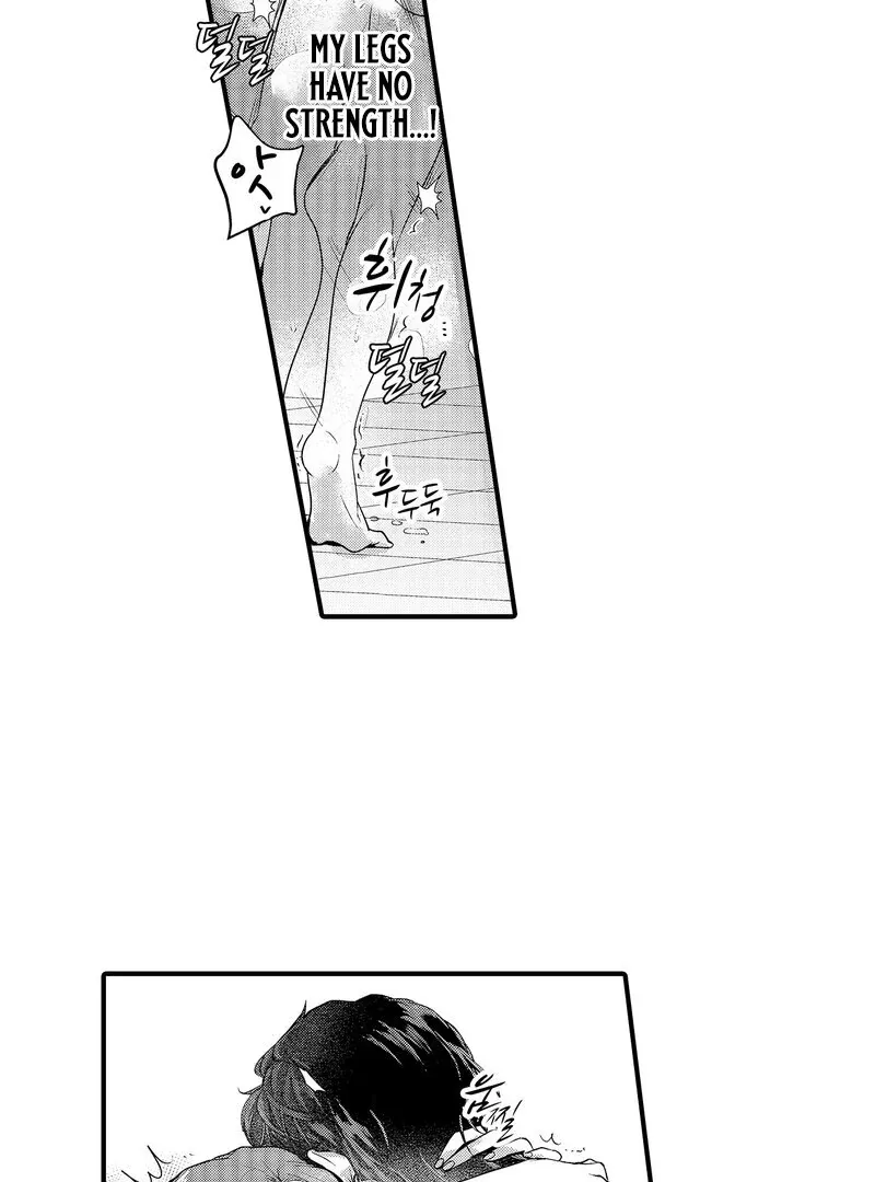 The Merciless Emperor’s Pet Consort Chapter 13 page 37 - 