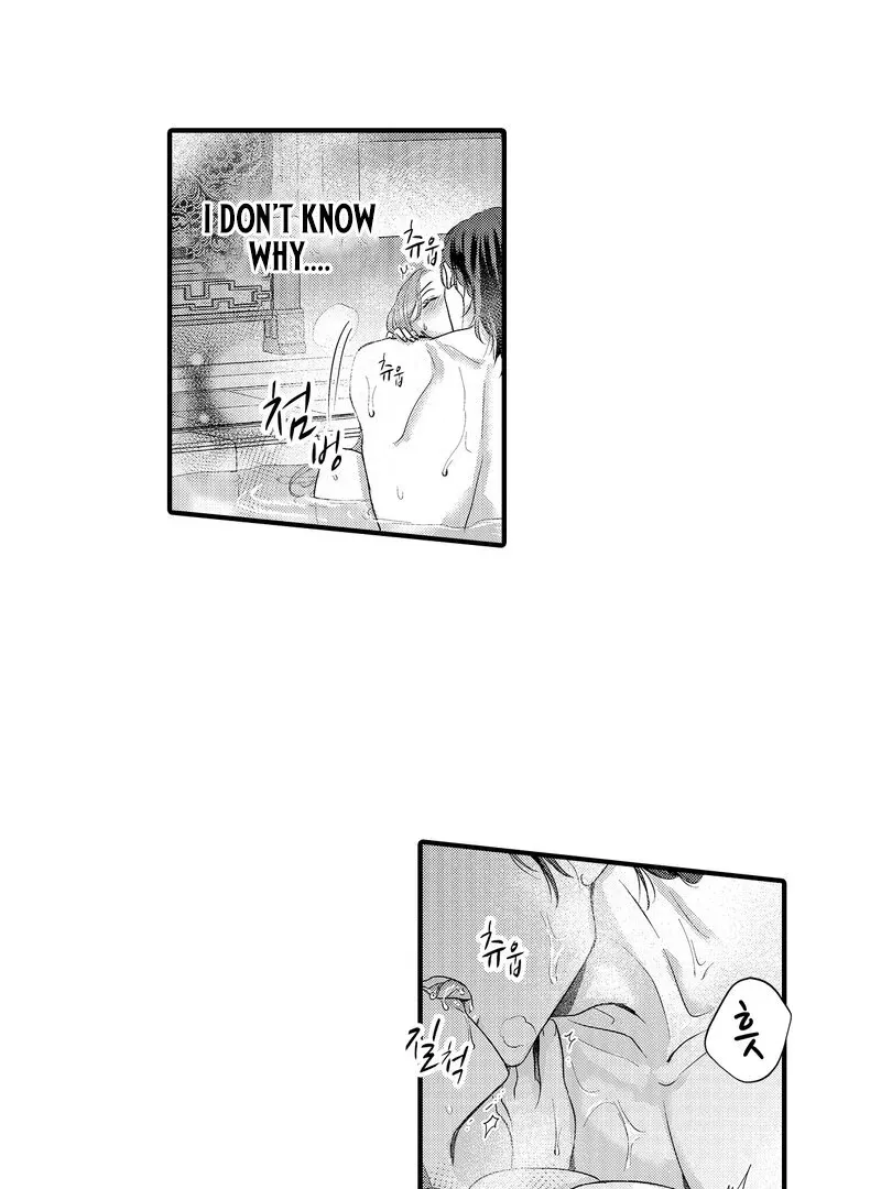 The Merciless Emperor’s Pet Consort Chapter 13 page 7 - 
