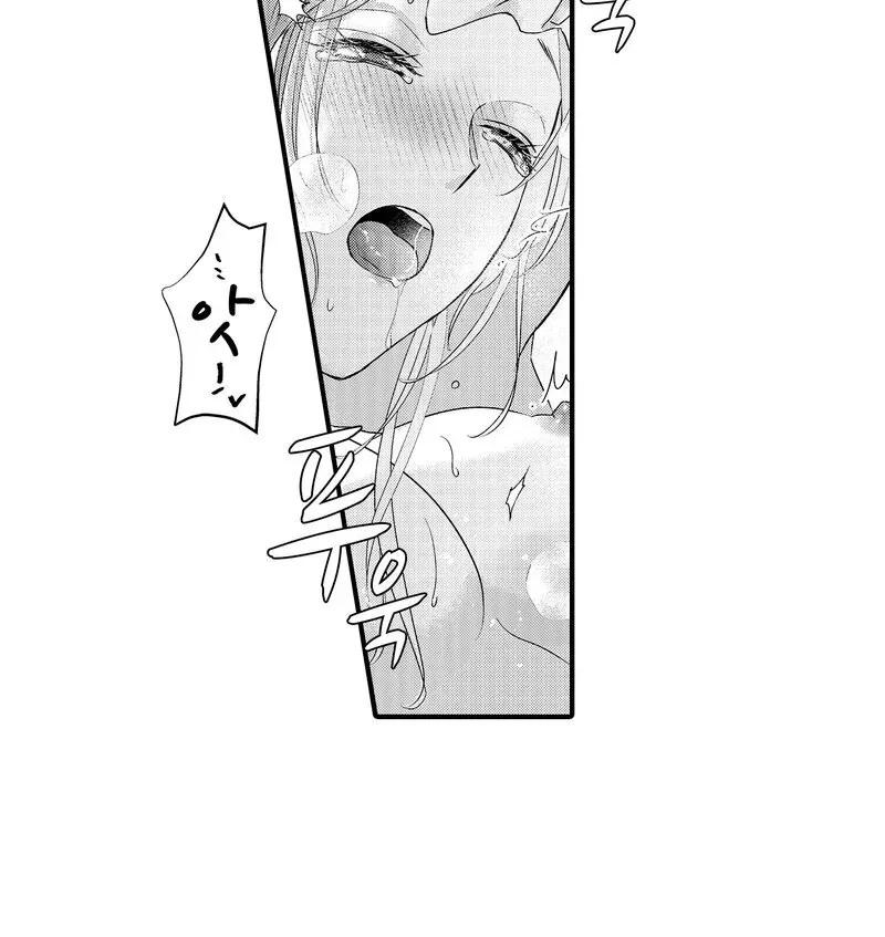 The Merciless Emperor’s Pet Consort Chapter 14 page 13 - 
