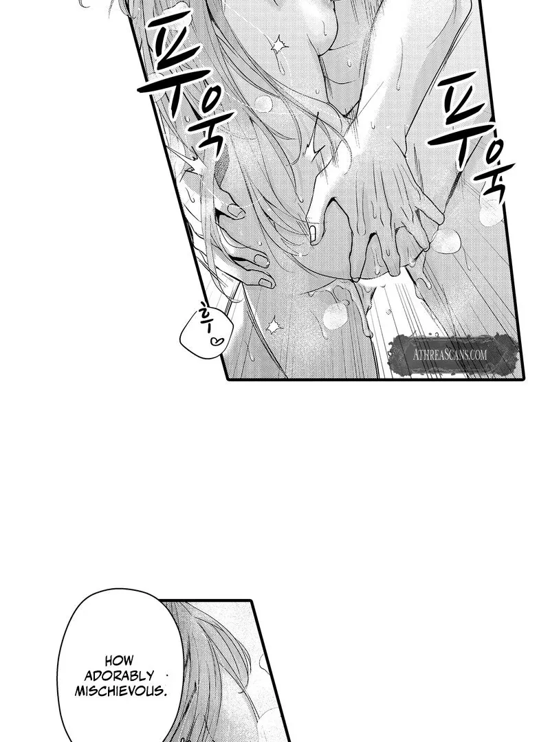 The Merciless Emperor’s Pet Consort Chapter 14 page 9 - 