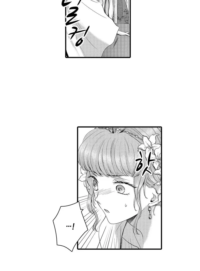 The Merciless Emperor’s Pet Consort Chapter 15 page 28 - 