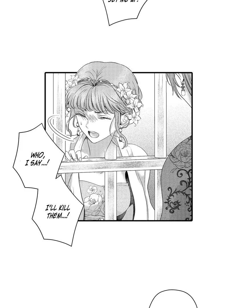 The Merciless Emperor’s Pet Consort Chapter 15 page 31 - 