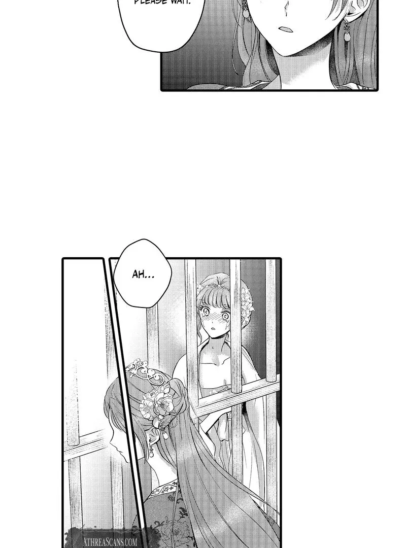 The Merciless Emperor’s Pet Consort Chapter 15 page 35 - 