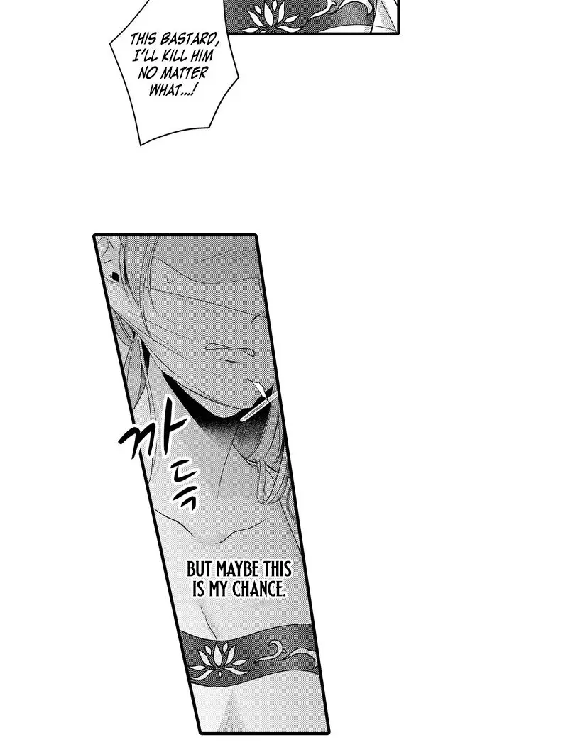 The Merciless Emperor’s Pet Consort Chapter 16 page 26 - 