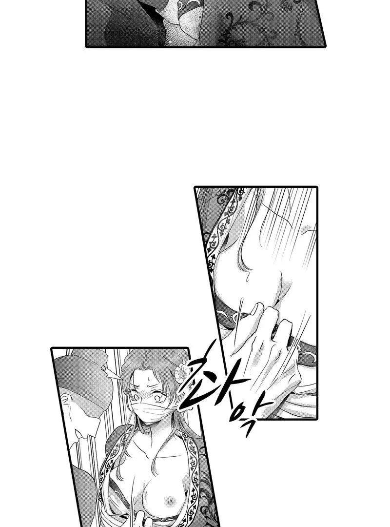The Merciless Emperor’s Pet Consort Chapter 16 page 28 - 