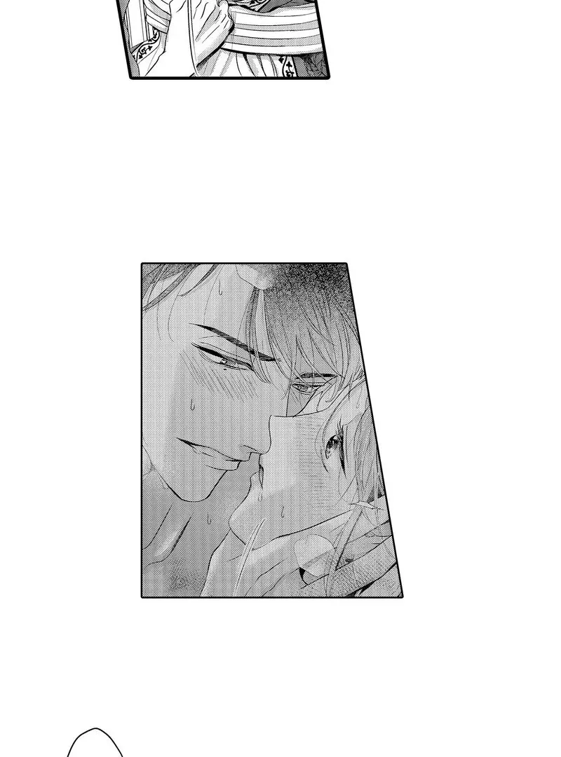 The Merciless Emperor’s Pet Consort Chapter 16 page 29 - 