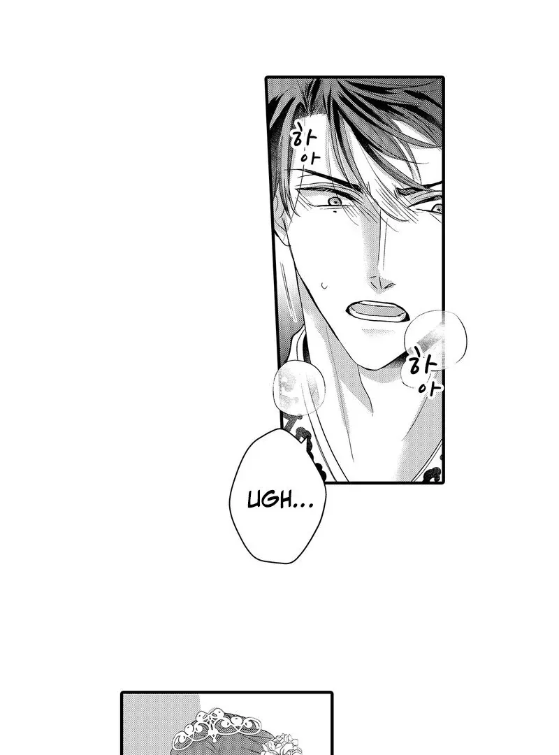 The Merciless Emperor’s Pet Consort Chapter 16 page 37 - 