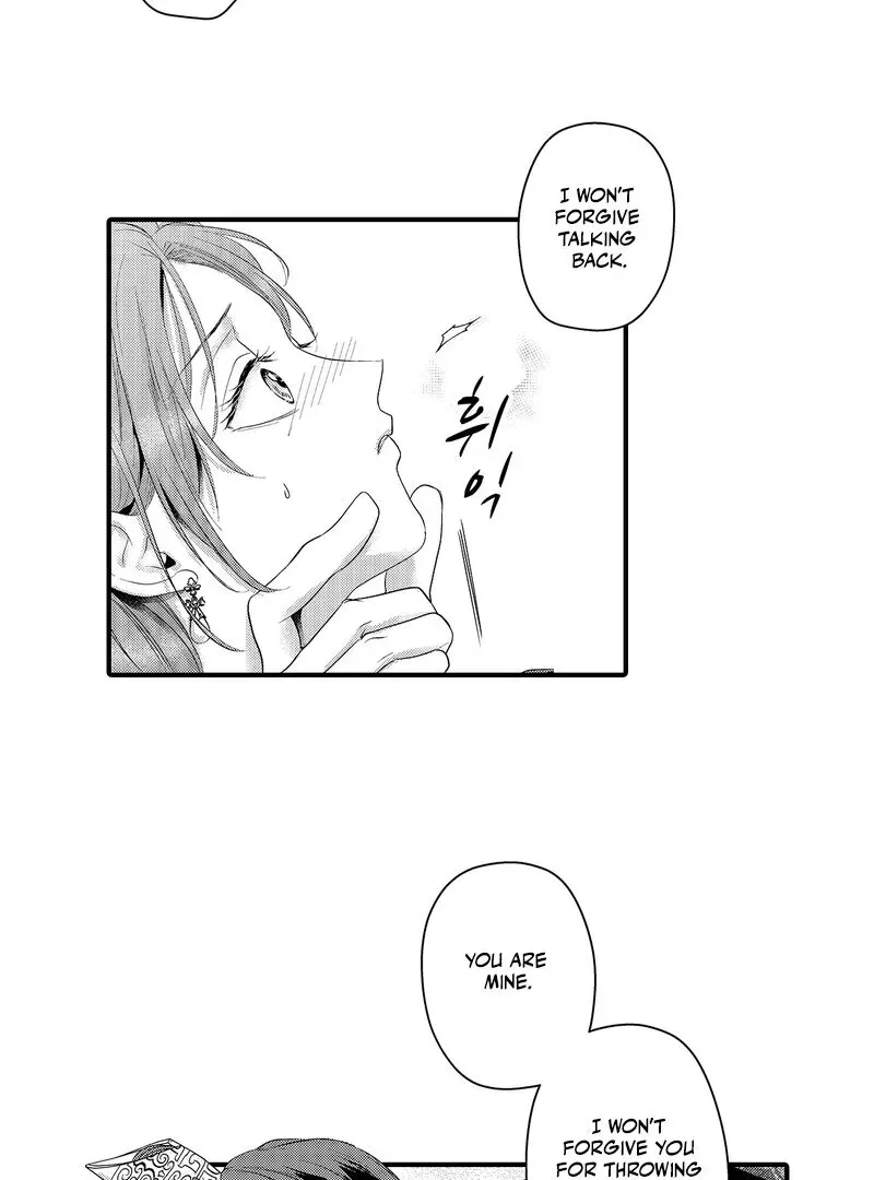 The Merciless Emperor’s Pet Consort Chapter 17 page 20 - 