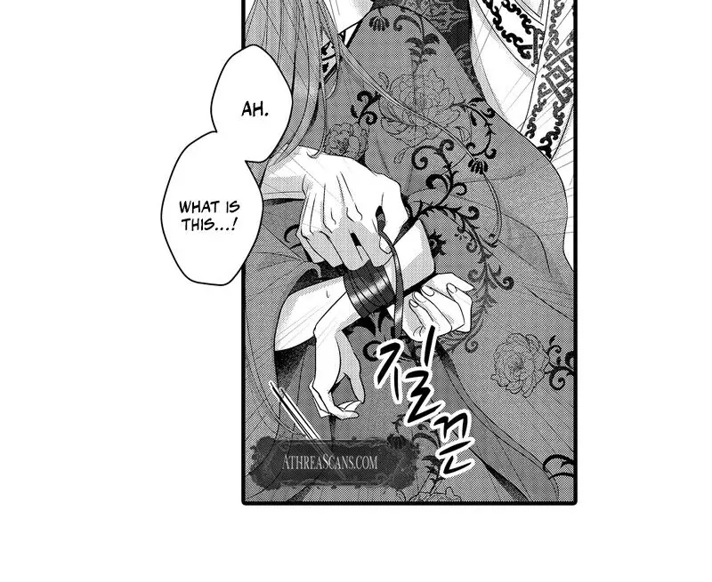 The Merciless Emperor’s Pet Consort Chapter 17 page 25 - 