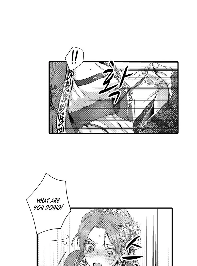 The Merciless Emperor’s Pet Consort Chapter 17 page 28 - 