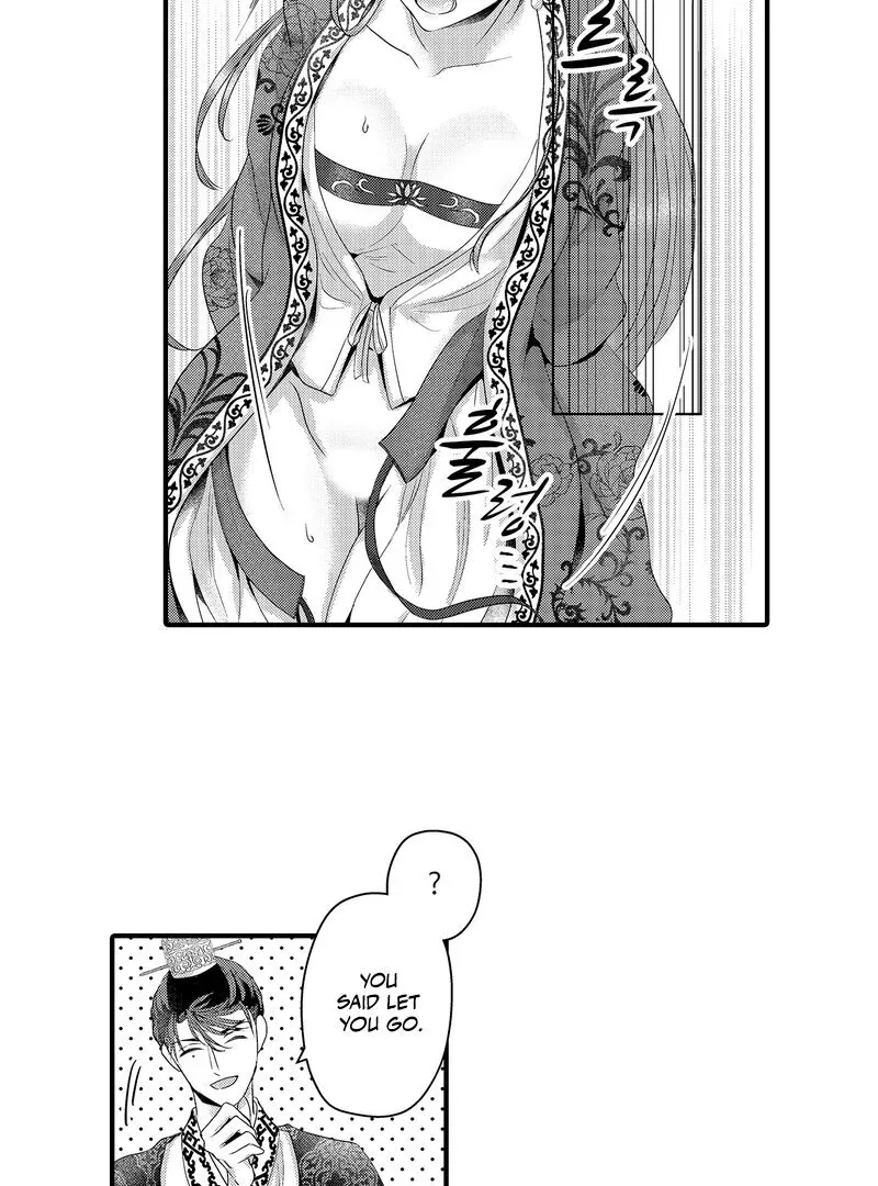 The Merciless Emperor’s Pet Consort Chapter 17 page 29 - 