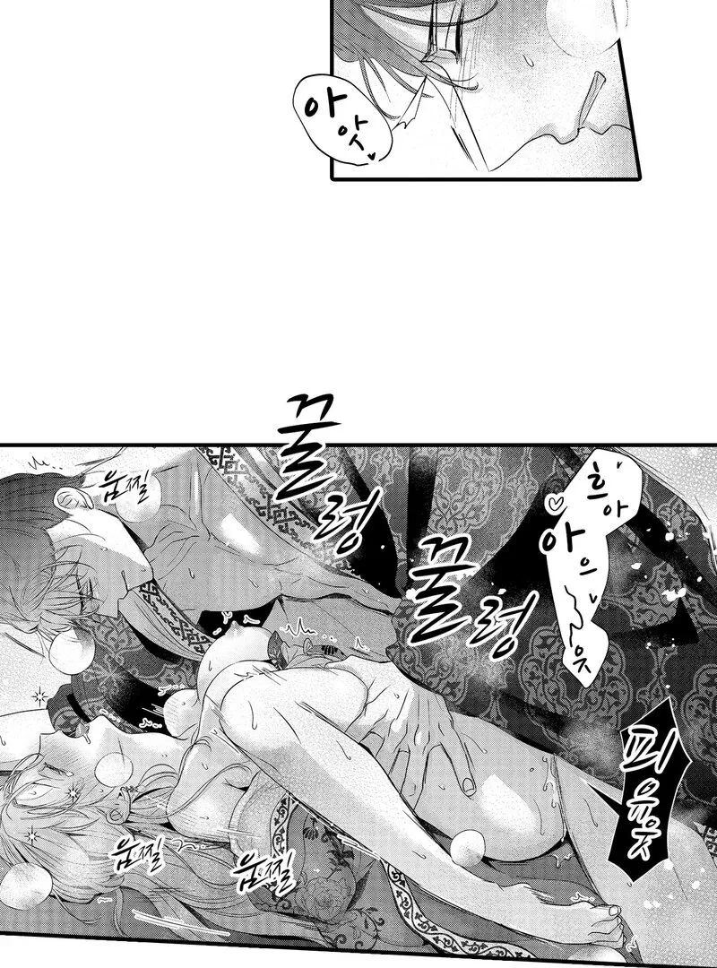 The Merciless Emperor’s Pet Consort Chapter 18 page 17 - 