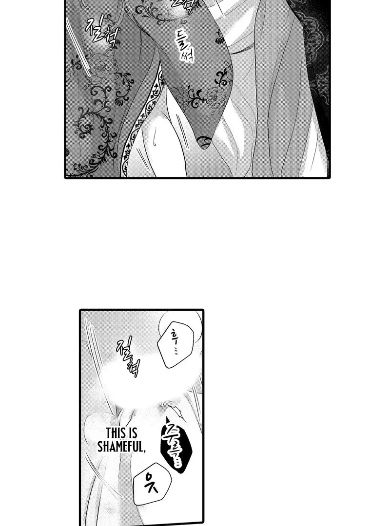 The Merciless Emperor’s Pet Consort Chapter 18 page 3 - 