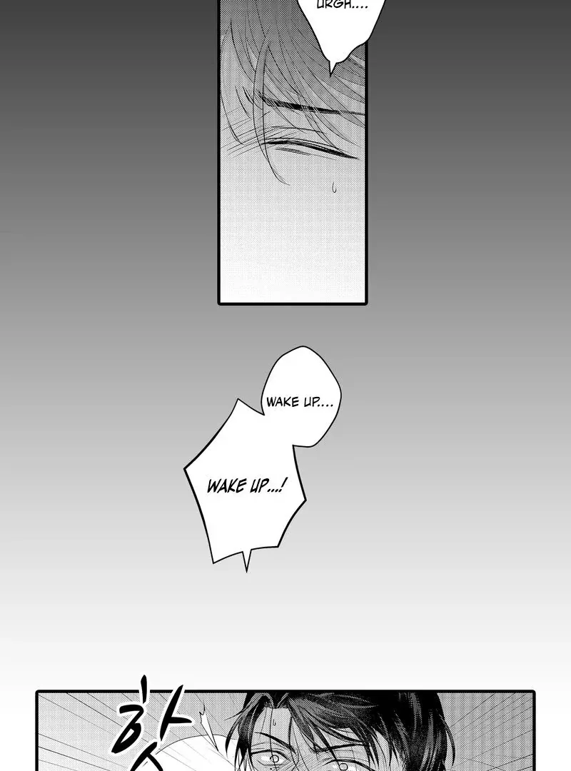 The Merciless Emperor’s Pet Consort Chapter 18 page 37 - 