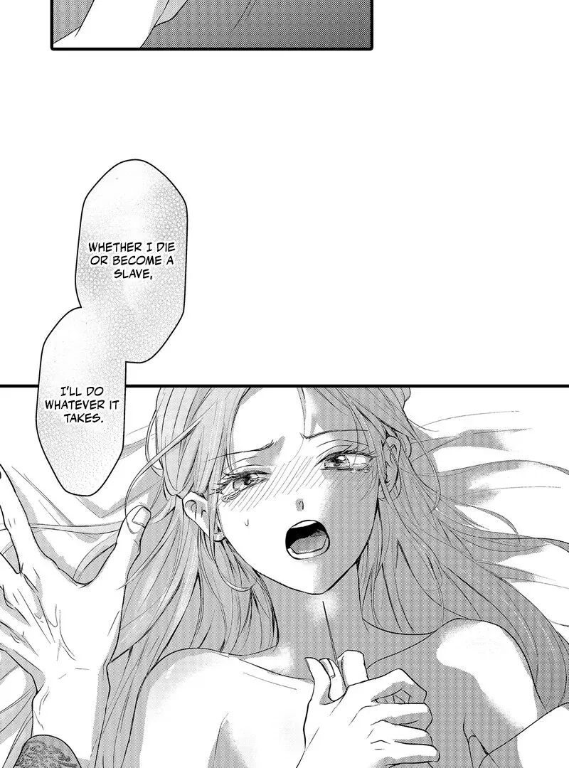 The Merciless Emperor’s Pet Consort Chapter 2 page 17 - 