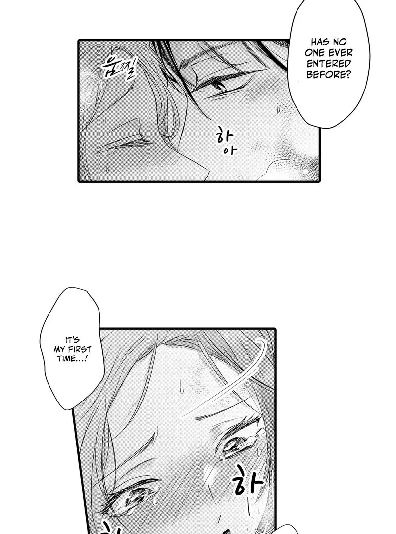 The Merciless Emperor’s Pet Consort Chapter 3 page 19 - 