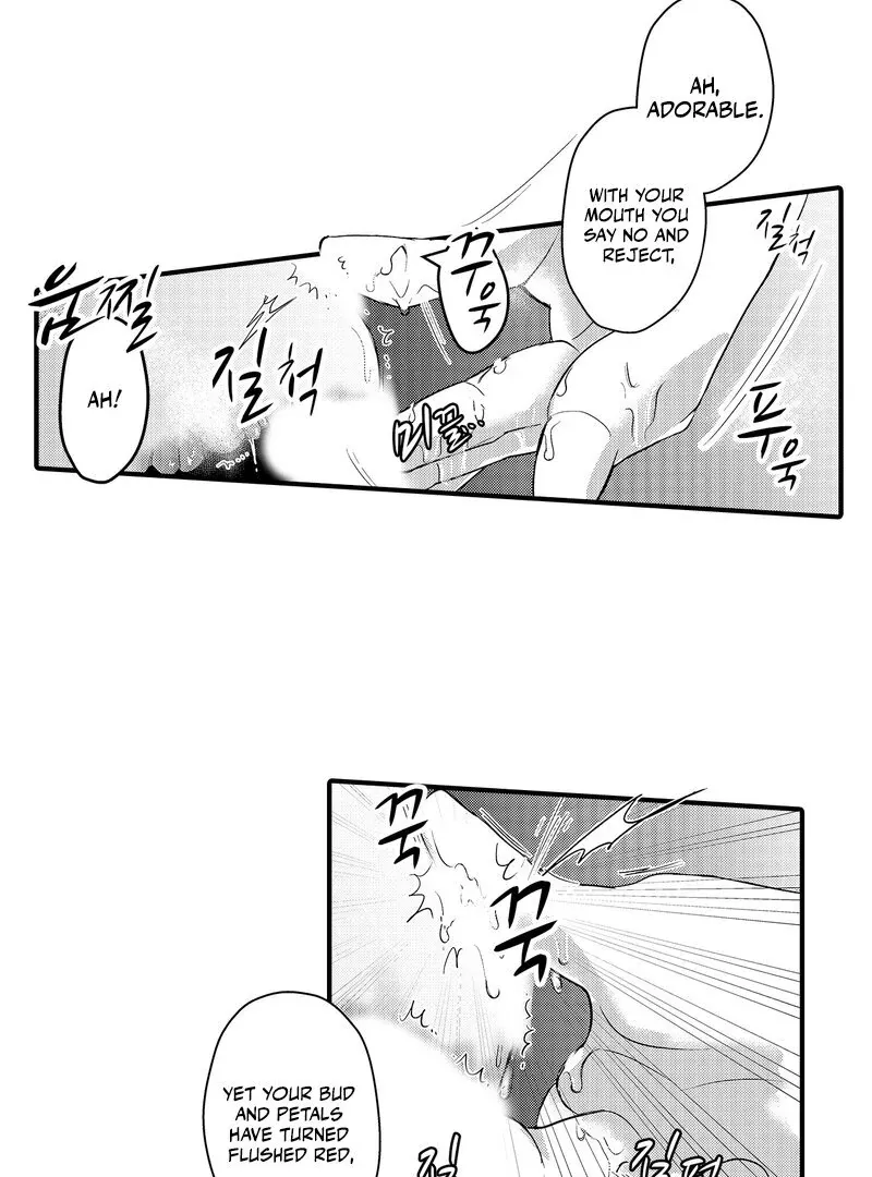 The Merciless Emperor’s Pet Consort Chapter 3 page 21 - 
