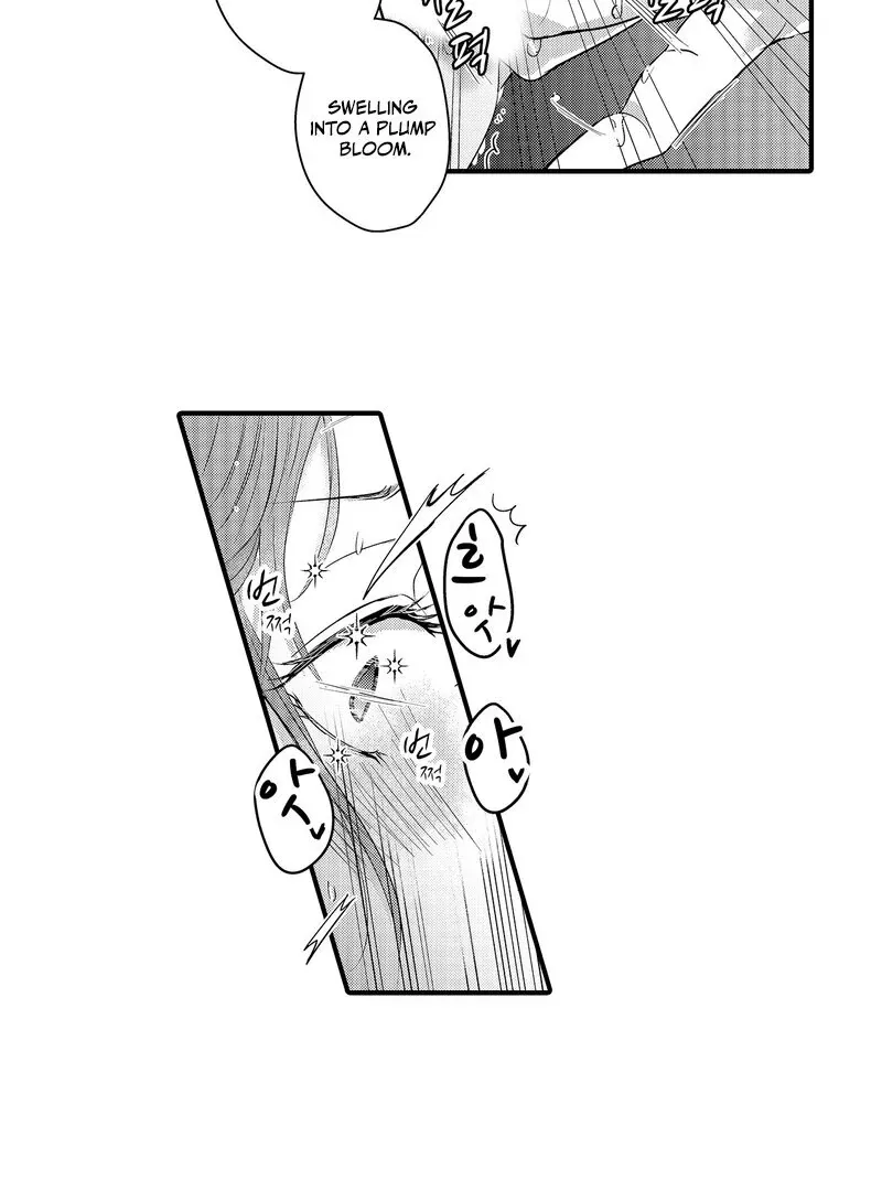 The Merciless Emperor’s Pet Consort Chapter 3 page 22 - 