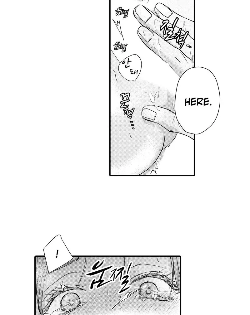The Merciless Emperor’s Pet Consort Chapter 3 page 25 - 