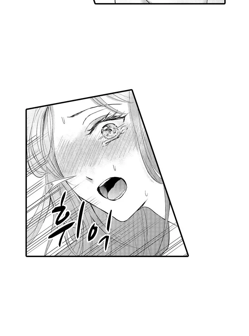 The Merciless Emperor’s Pet Consort Chapter 3 page 35 - 