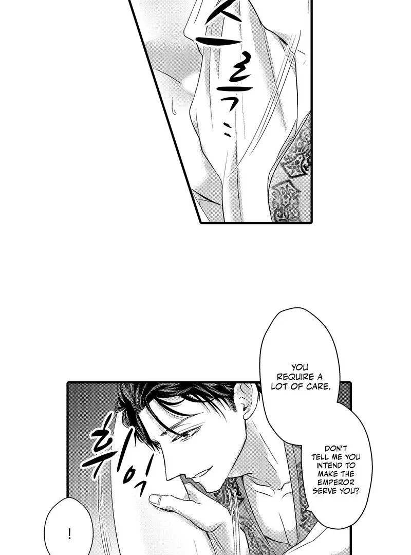 The Merciless Emperor’s Pet Consort Chapter 3 page 5 - 