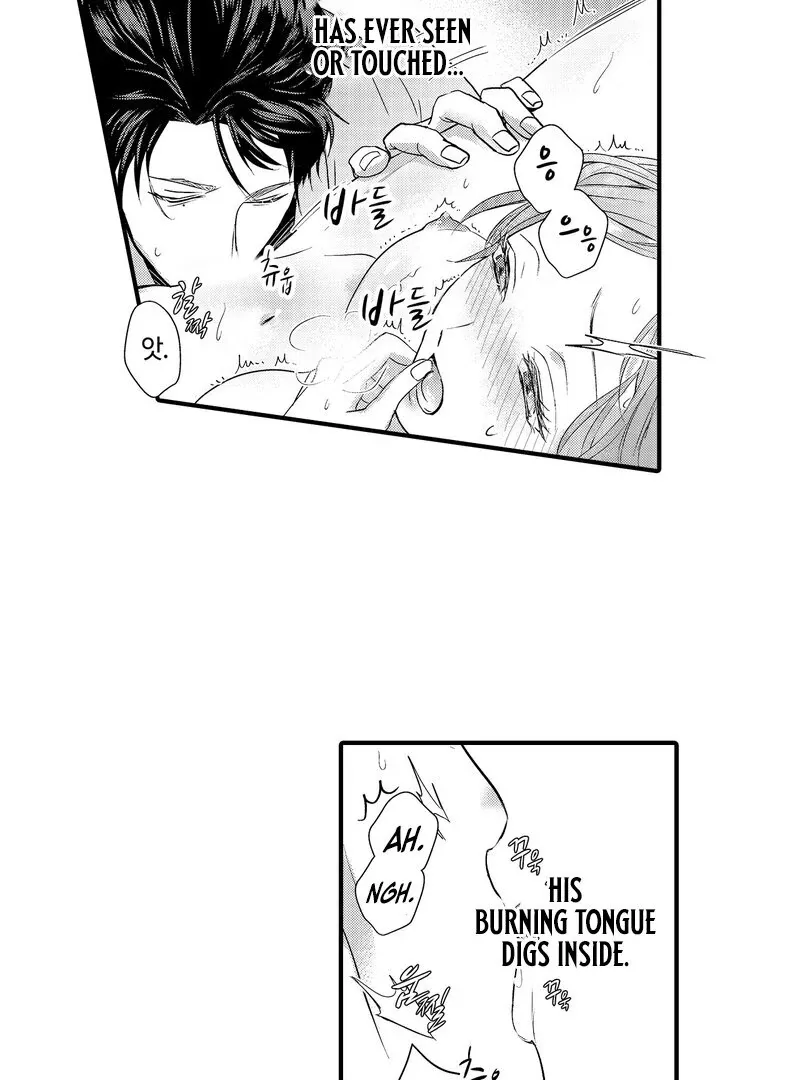 The Merciless Emperor’s Pet Consort Chapter 3 page 10 - 