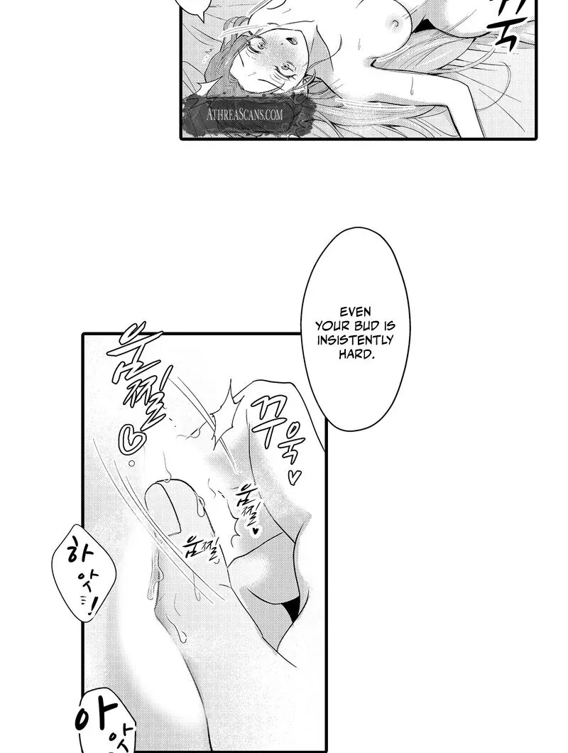 The Merciless Emperor’s Pet Consort Chapter 4 page 12 - 
