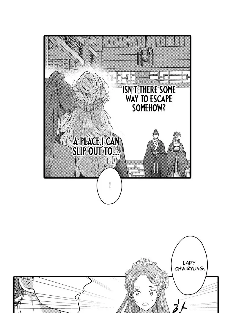 The Merciless Emperor’s Pet Consort Chapter 5 page 3 - 