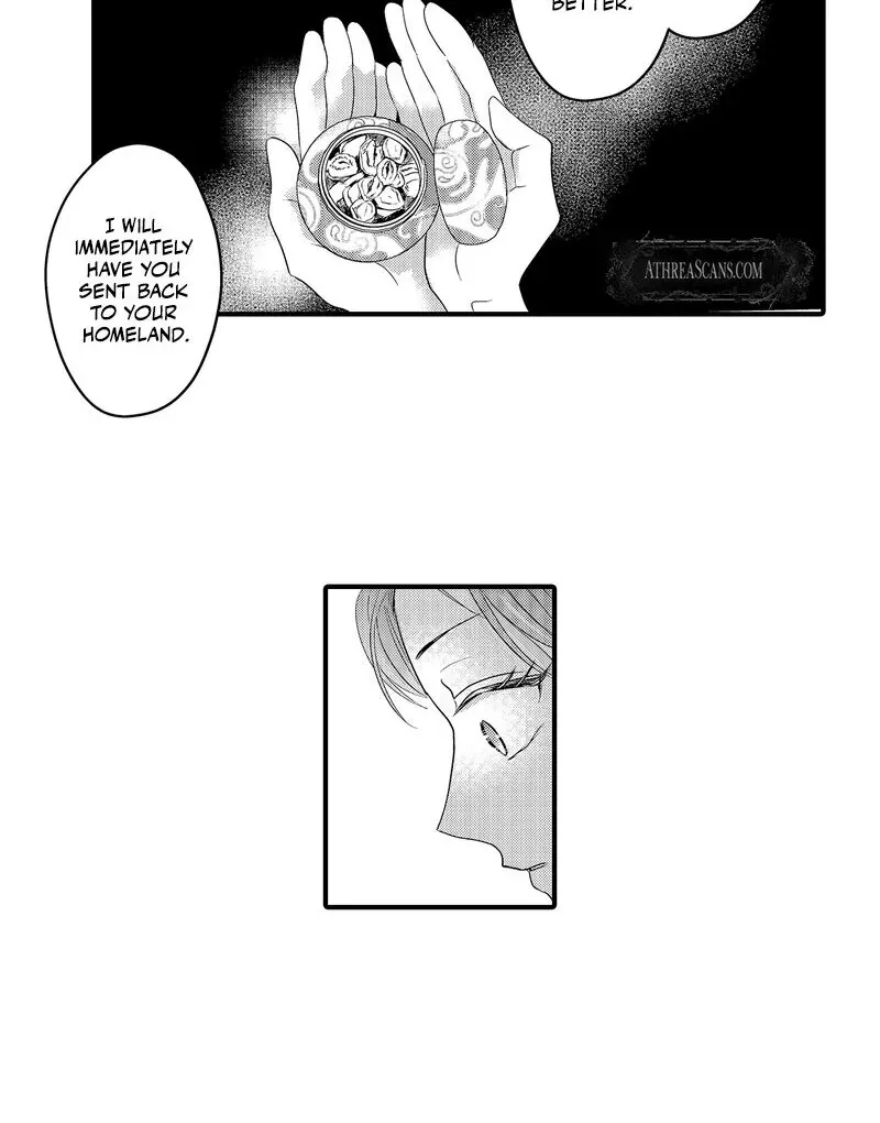 The Merciless Emperor’s Pet Consort Chapter 5 page 26 - 