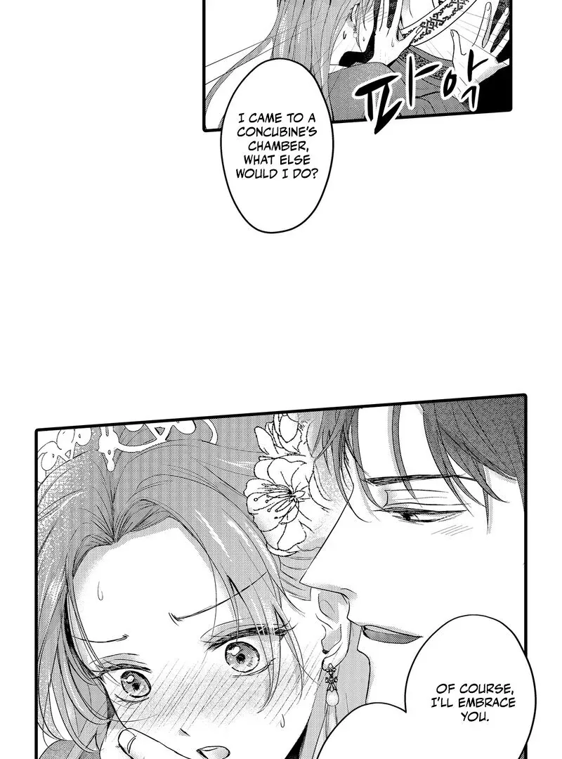 The Merciless Emperor’s Pet Consort Chapter 5 page 35 - 