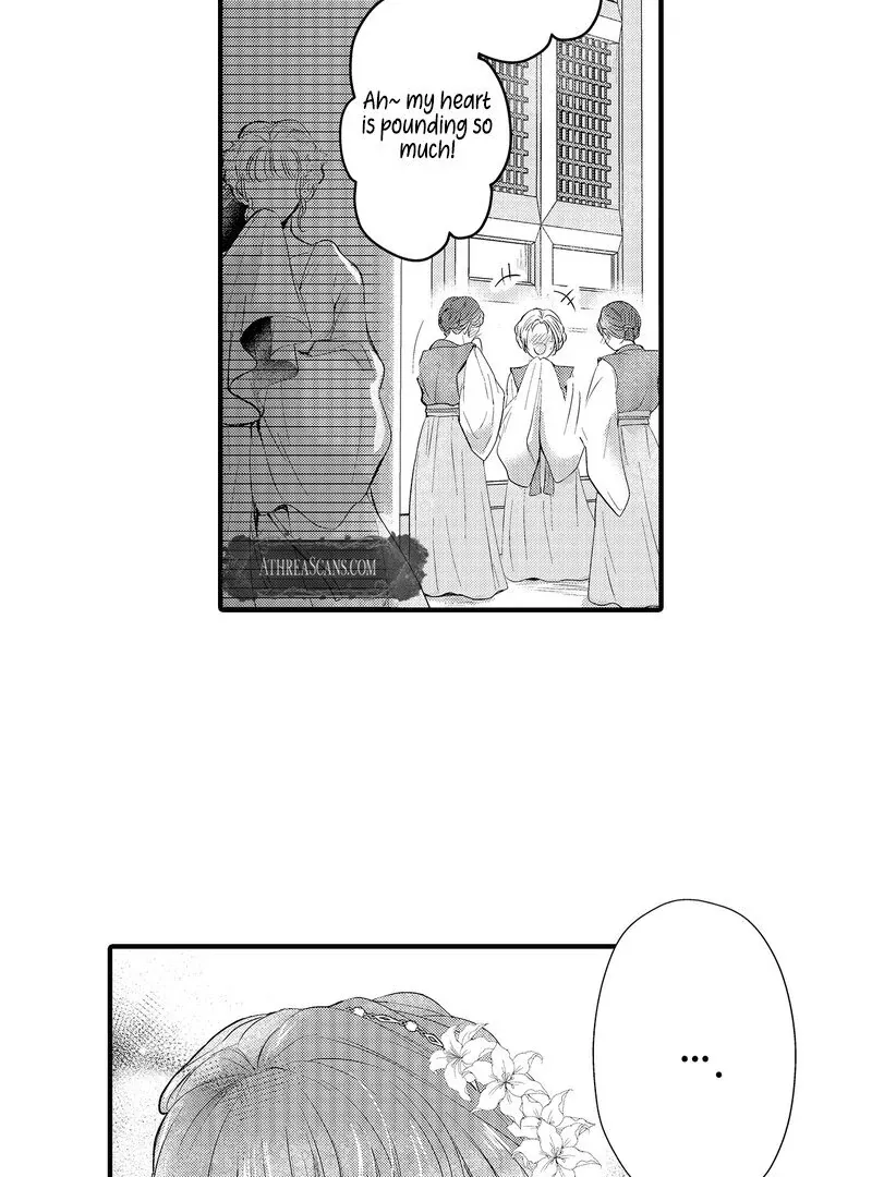 The Merciless Emperor’s Pet Consort Chapter 6 page 11 - 