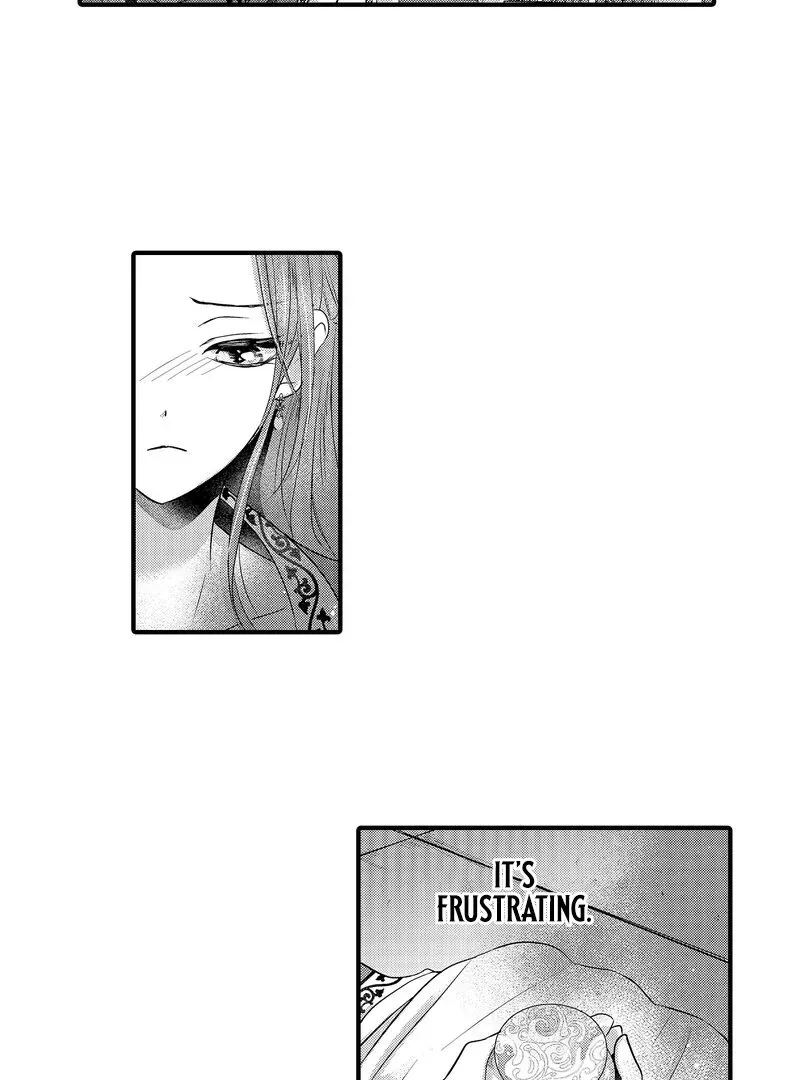 The Merciless Emperor’s Pet Consort Chapter 6 page 28 - 