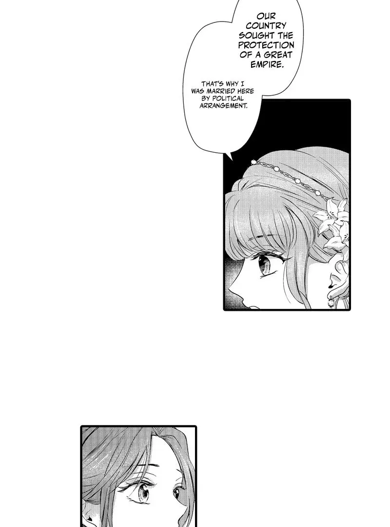 The Merciless Emperor’s Pet Consort Chapter 6 page 36 - 