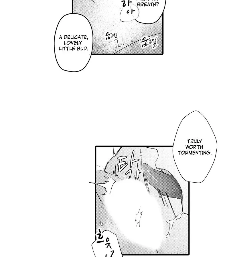 The Merciless Emperor’s Pet Consort Chapter 8 page 38 - 