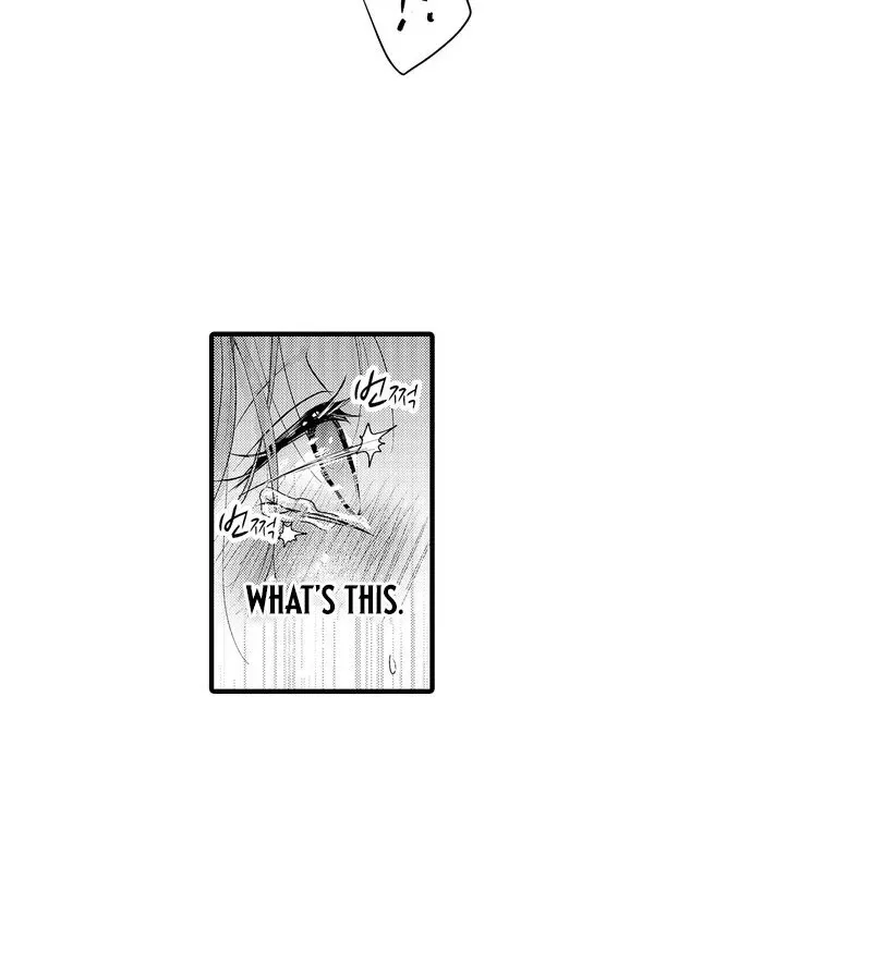 The Merciless Emperor’s Pet Consort Chapter 8 page 39 - 